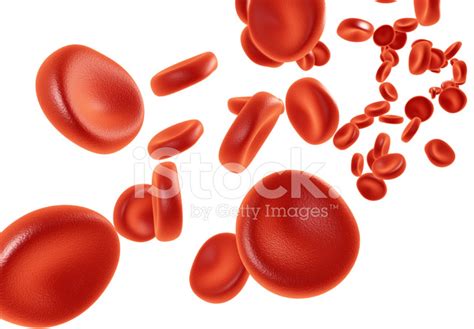 Isolated Blood Cells Stock Photo Royalty Free Freeimages