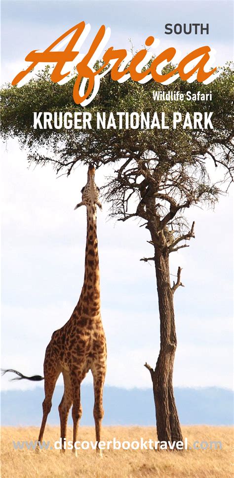 Kruger National Park Safari Day 3 Discover Book Travel Singapore