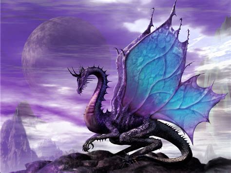Purple Dragon Wallpaper Wallpapersafari