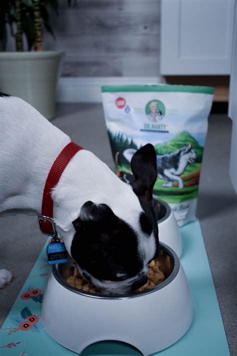 Martin goldstein, who has been a veterinarian for over 40 years. Nature's Blend Returning Customer | Dog food recipes ...