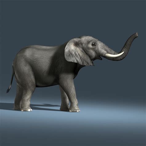 3d Photorealistic African Elephant Rigged Model