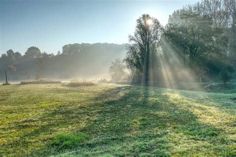 Morning Sun Rays With Fog Wallpaper 30 Wallpapers Adorable Wallpapers