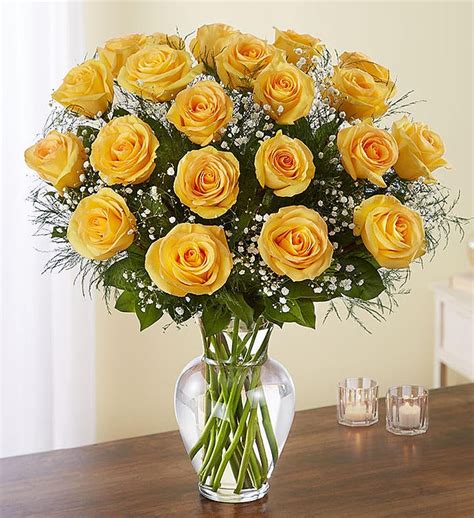 Ultimate Elegance Long Stem Yellow Roses 98712