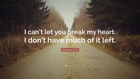 Courtney Cole Quote I Cant Let You Break My Heart I Dont Have Much