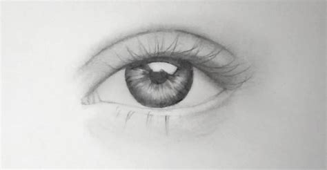 How To Draw Eyes Steps To A Realistically Drawn Eye Lip Pens Style Analysis Realistic Eye