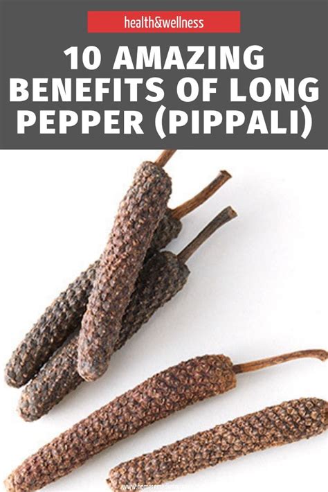 10 Amazing Benefits Of Long Pepper Pippali With Images Home