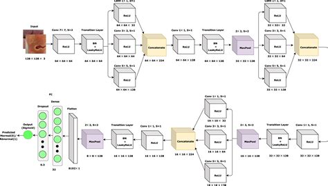 Python Making A Convolutional Neural Network From A Flow Diagram Sexiz Pix