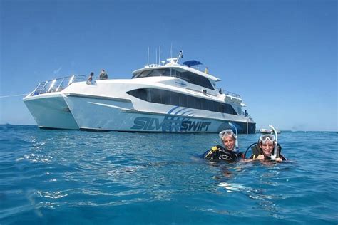 2023 Silverswift Outer Great Barrier Reef Snorkel And Dive Cruise From