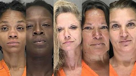 5 Women Arrested During Undercover Prostitution Sting