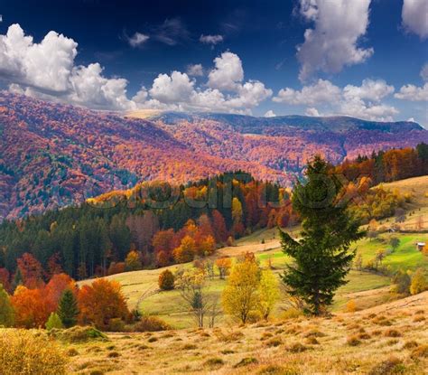 Colorful Autumn Landscape In The Stock Photo Colourbox