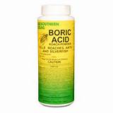 Killing Carpenter Ants With Boric Acid Pictures