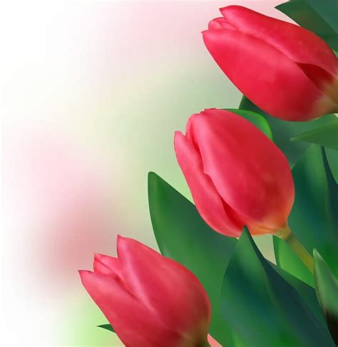 Bright Tulips Eps Vector Uidownload