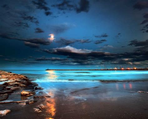 Free Download Beach Night Hd Wallpapers 1680x1050 For Your Desktop