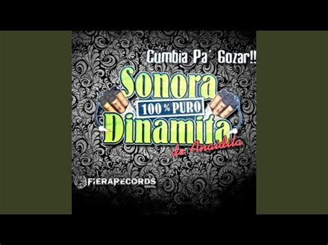 Letra Yo No Soy Una Loba De La Sonora Dinamita