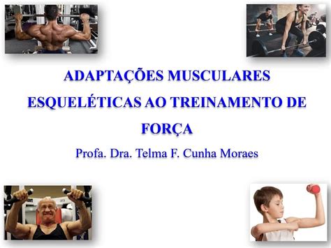 E Aulas Da Usp Adapta Es Musculares Esquel Ticas Ao