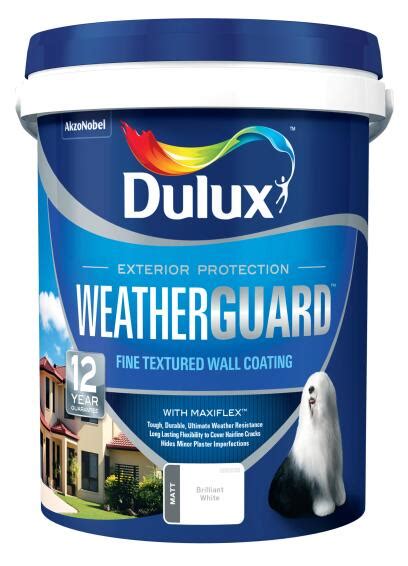 Dulux Weatherguard Berg Cloud Fine Textured Exterior Paint 20l Leroy