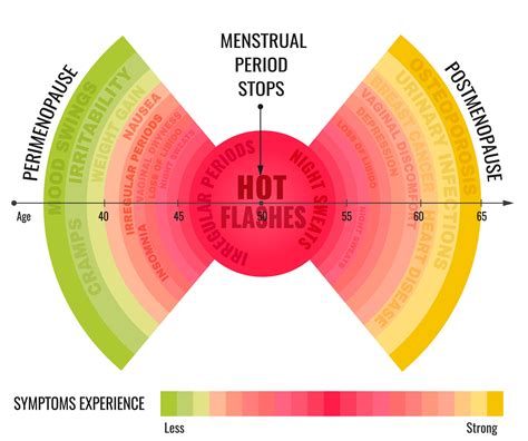 understanding menopause part 2 — the holistic health approach