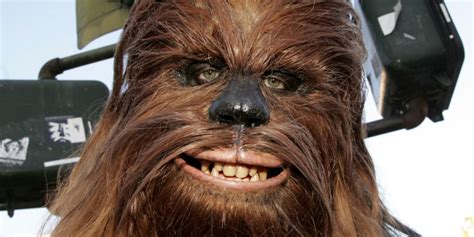 Chewbacca Walnut Looks Exactly Like Star Wars Character