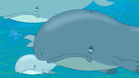 Zig And Sharko 🐳 Whales 🐳 The Biggest Fish 2020 🐋🌊 Cartoons