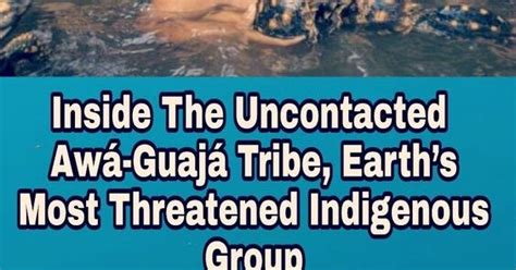 Inside The Uncontacted Awá Guajá Tribe Earths Most Threatened