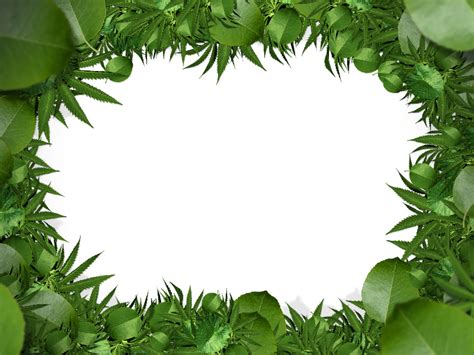 Flower Frame Border PNG With Green Leaves Background Nature Grass And Foliage Textures For