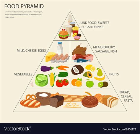 Healthy Eating Pyramid Vector Illustration Labeled Explanation Food