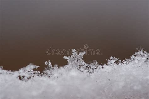 Snowflake And Ice Crystal In Snow Shown Individually Winter