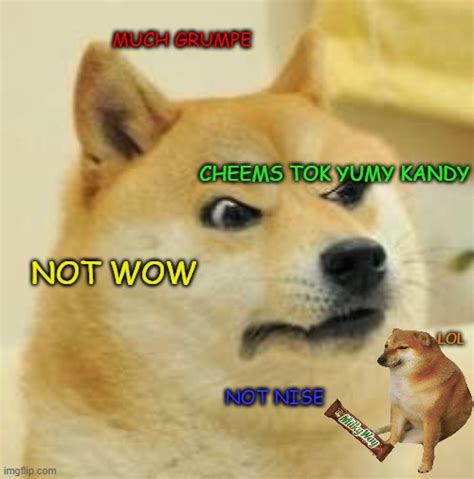 Angry Doge Memes And S Imgflip