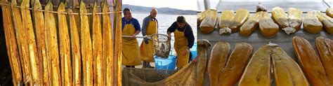 Città lagunare di grande suggestione, orbetello regala irripetibili momenti all'insegna della storia, della natura e di sfiziosi sapori del mare che trovano nel cefalo. La bottarga di Orbetello Presidio Slow Food | I Pescatori ...