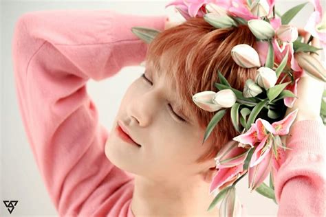 Flower Boy Joshua Jisoo Seventeen Handsome Cute White Wallpaper Naver Dispatch Clap