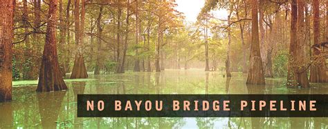 No Bayou Bridge Pipeline Teach In Action Network