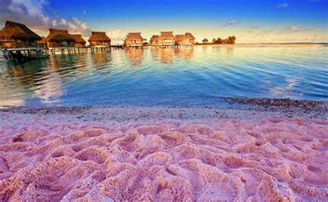 Indonesia El Parque Nacional De Komodo Y Sus Playas De Color Rosado