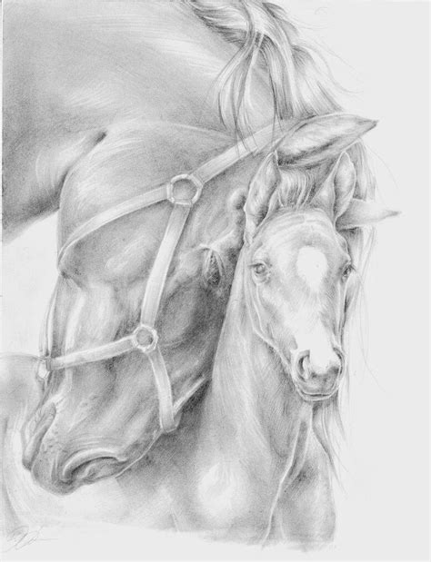 Merrieveulen Horse Pencil Drawing Pencil Drawings Of Animals Horse