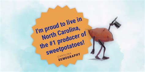 north carolina leading sweet potato production for 50 years