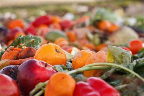 £5m Fund To Substantially Reduce Food Waste From Farm To Fork