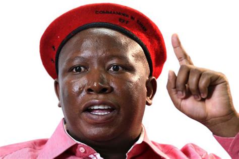 anc to lay criminal charges against malema the citizen