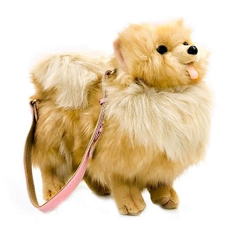 Before downloading you can preview any song by mouse. Pomeranian Dog Purse | Pomeranian | Pinterest | Purses, Dog purse and Dogs