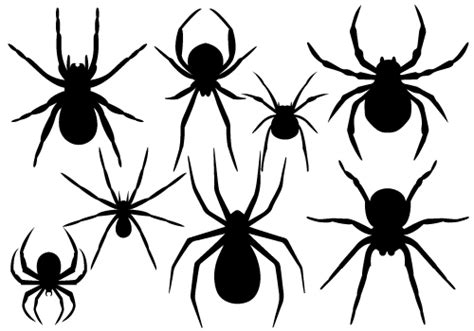 Halloween Spider Vector Graphicssilhouette Clip Art