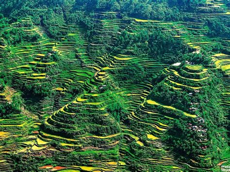 28 Breathtaking Wonders Of The World You Have To See Banaue Rice Terraces Banaue Rice
