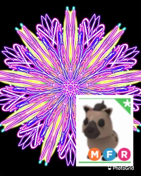 Custom Artwork With Roblox Adopt Me Mega Neon Hyena Flyride Read