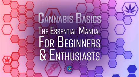 Cannabis Basics Textbook A Fun Evidence Based Journey