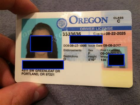Oregon Driver License Number Format Newblog8x
