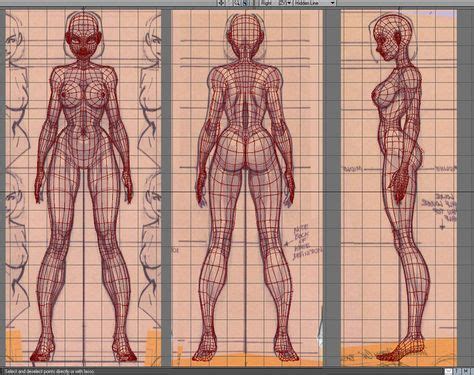 33 Best Female Orthographics Images Character Model Sheet Character