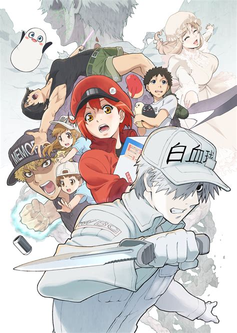 Cells At Work Official Usa Website