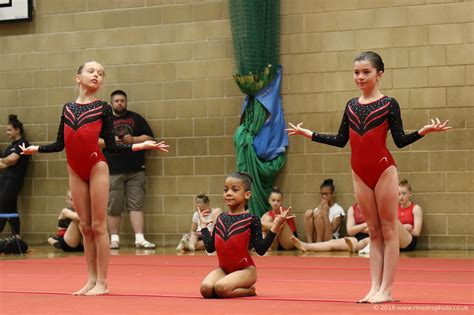 Two More Gymnastics Competitions Crazy With Twins