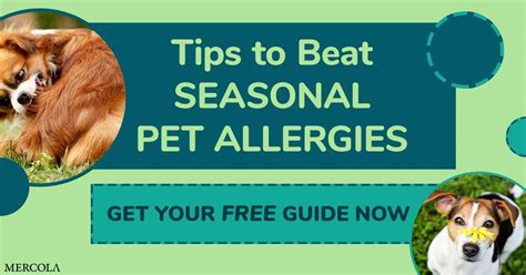 Subscribe And Get Free Tips To Beat Seasonal Pet Allergies