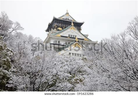 Castillo Y Nieve De Osaka