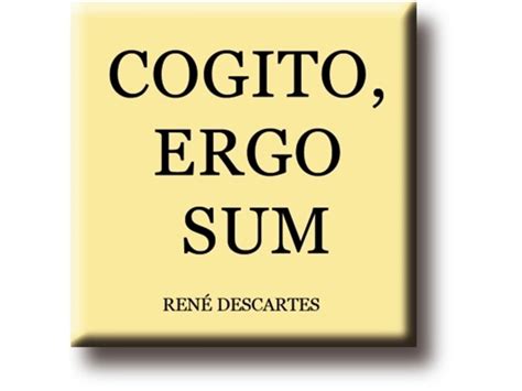 Imán De Nevera René Descartes Cogito Ergo Sum Museum Webshop