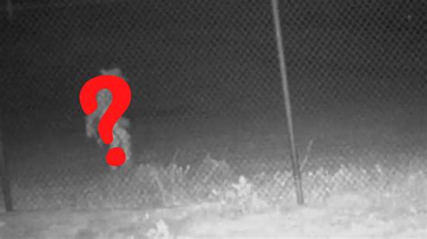 Strange Alien Caught On Camera Wandering Around Texas Driveway Watch