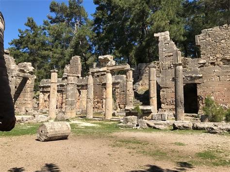 Svg als dateiformat, einheitliche farben und benennung. Seleukia (Lybre) - Manavgat - Bewertungen und Fotos